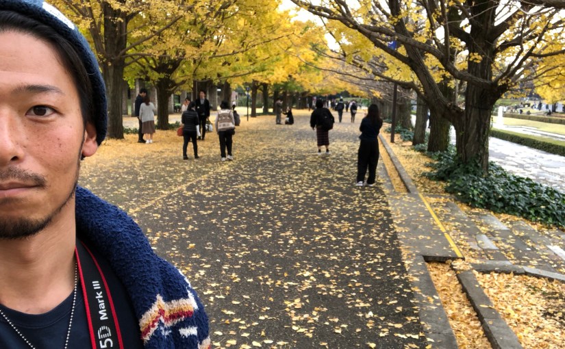 イチョウや紅葉の風景写真